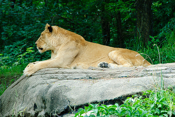 Pittsburgh Zoo