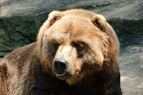 Pittsburgh Zoo