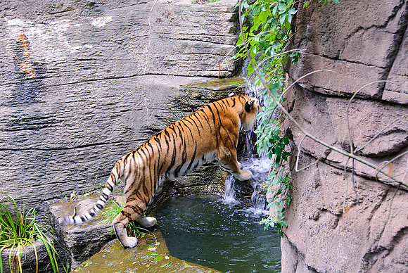 Pittsburgh Zoo