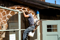 San Francisco Zoo