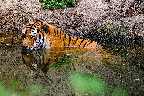 Pittsburgh Zoo