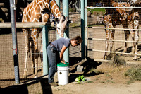 San Francisco Zoo