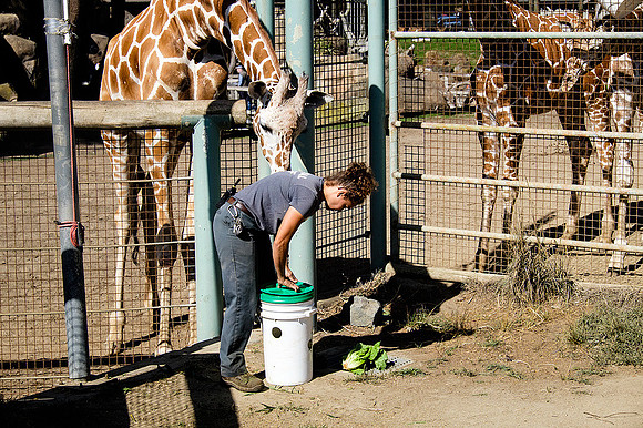 San Francisco Zoo