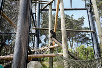 San Francisco Zoo