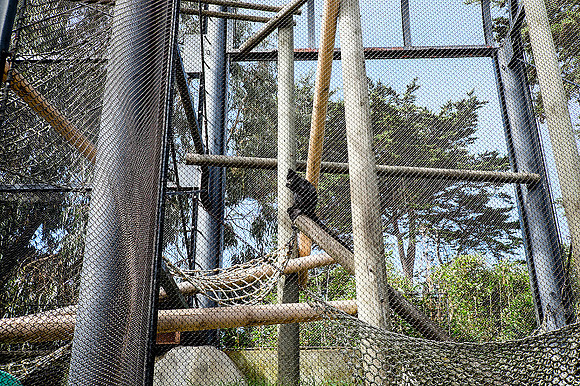 San Francisco Zoo