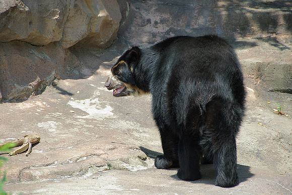 Pittsburgh Zoo