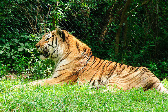 Pittsburgh Zoo