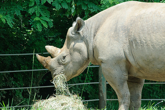 Pittsburgh Zoo