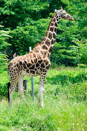 Pittsburgh Zoo