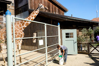 San Francisco Zoo