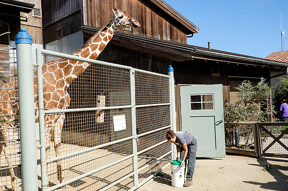 San Francisco Zoo