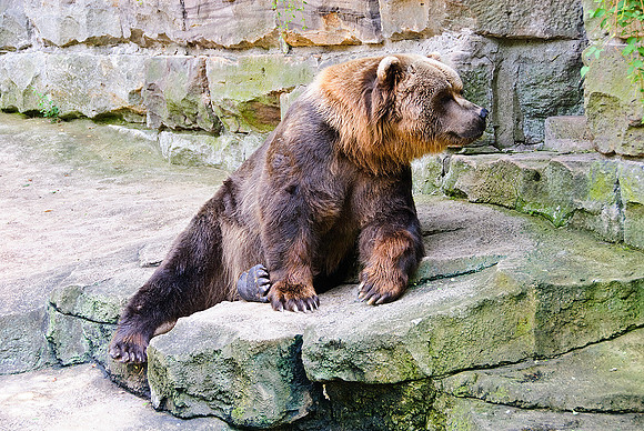 Pittsburgh Zoo