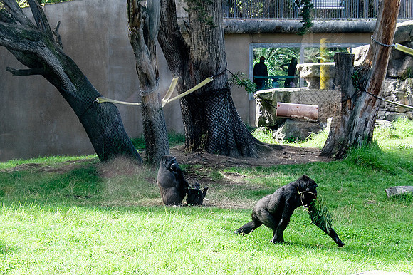 San Francisco Zoo