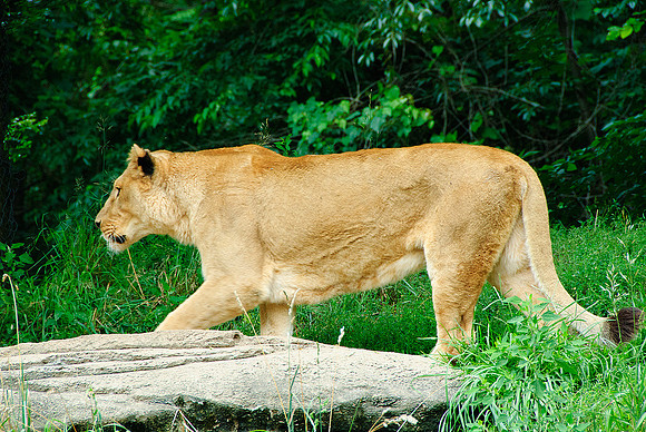 Pittsburgh Zoo
