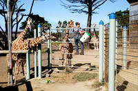 San Francisco Zoo
