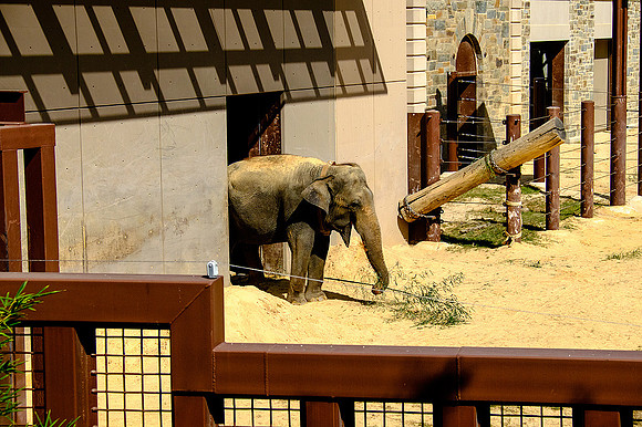 National Zoo, Washington DC