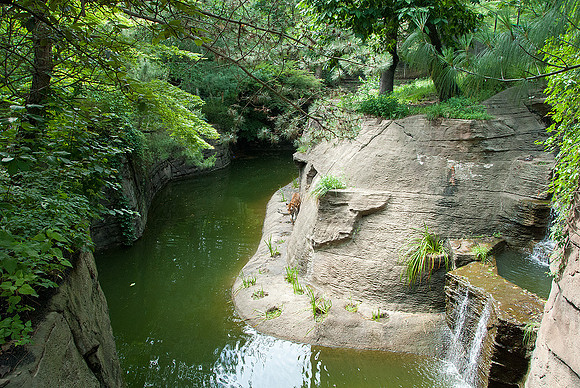 Pittsburgh Zoo