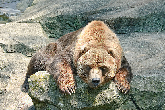 Pittsburgh Zoo