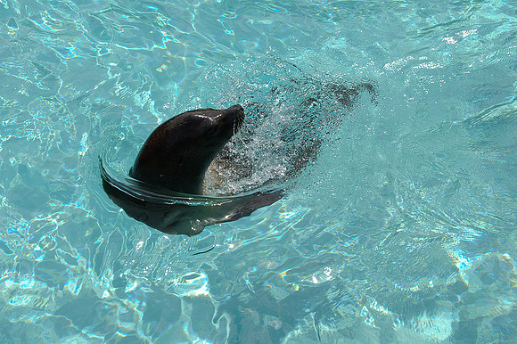 Pittsburgh Zoo