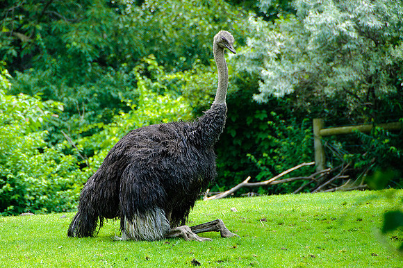 Pittsburgh Zoo