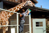 San Francisco Zoo