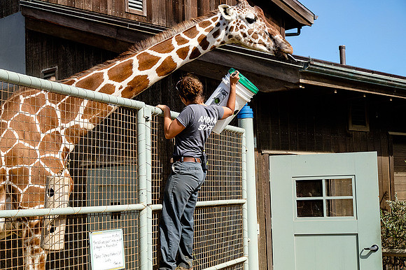 San Francisco Zoo