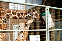 San Francisco Zoo