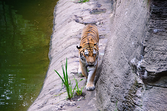Pittsburgh Zoo