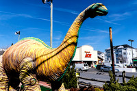 Ocean City, MD