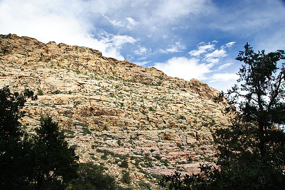 Red Rock Canyon, Las Vegas, NV