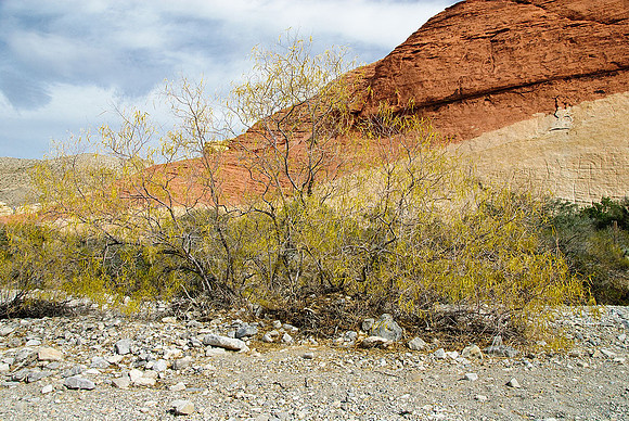 Red Rock Canyon, Las Vegas, NV