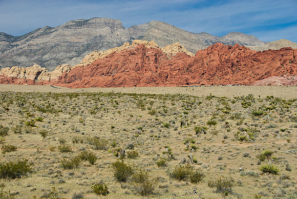 Red Rock Canyon, Las Vegas, NV