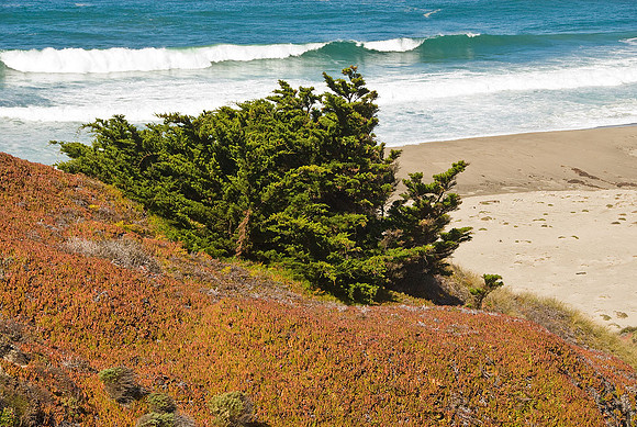 California Coast
