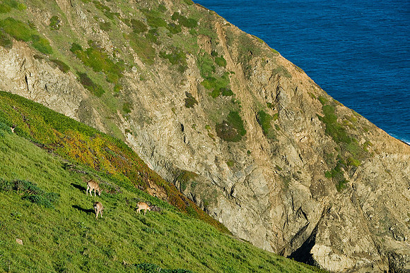 California Coast