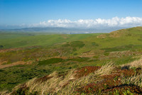 California Coast