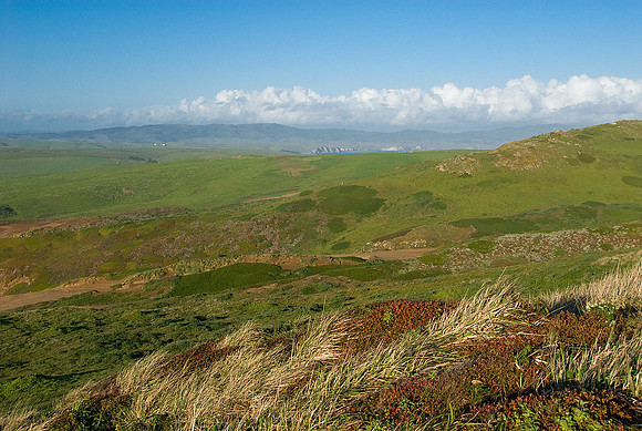 California Coast