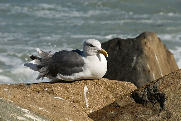 California Coast