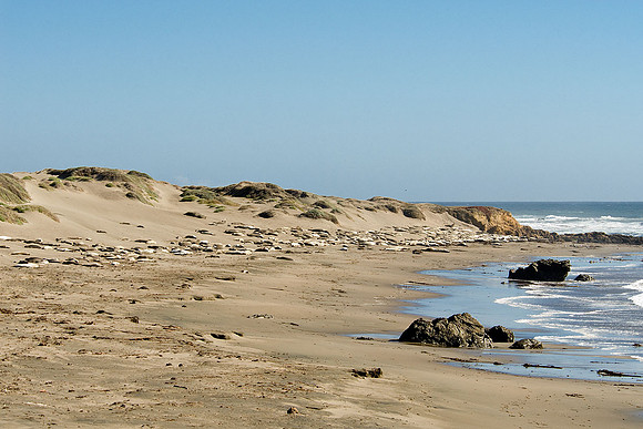 California Coast