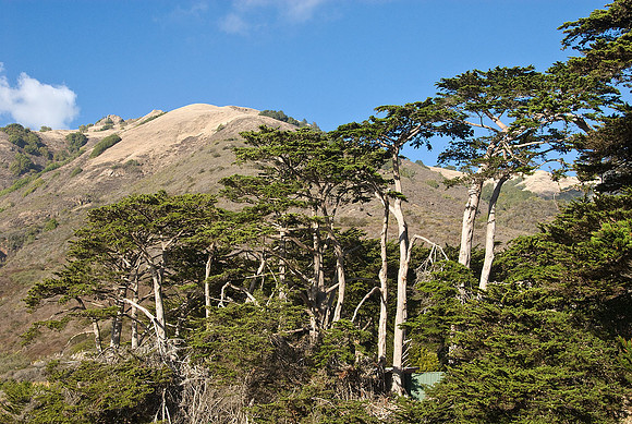 California Coast