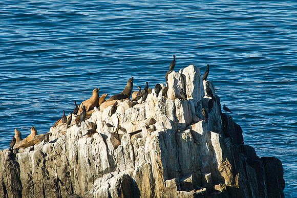 California Coast