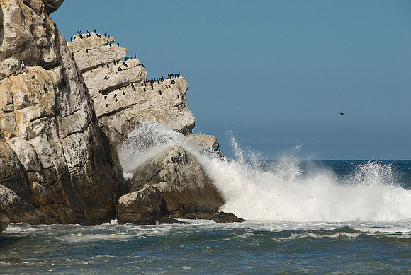 California Coast