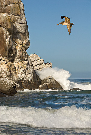 California Coast