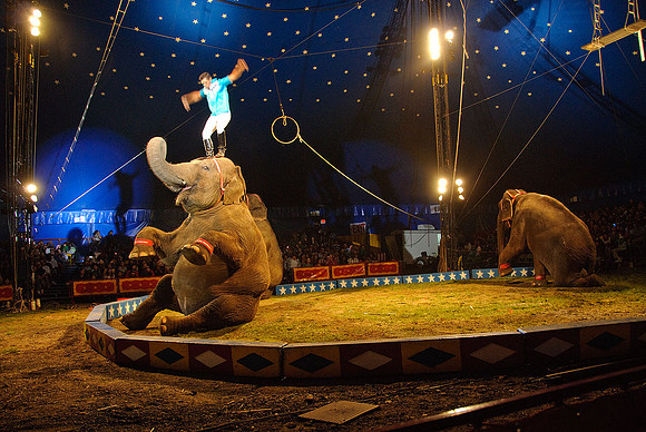 Cole Brothers Circus