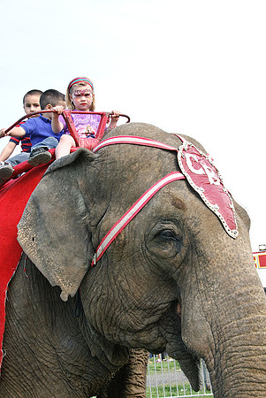 Cole Brothers Circus