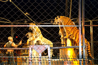 Cole Brothers Circus