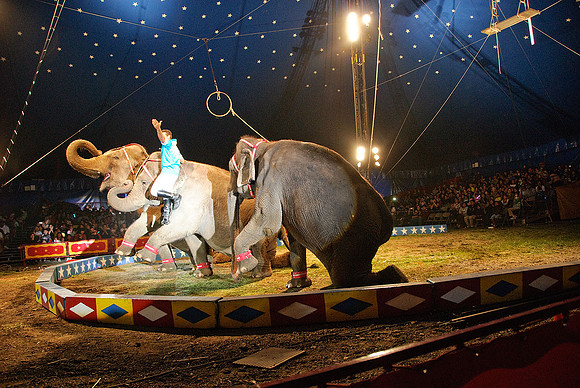 Cole Brothers Circus
