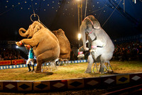 Cole Brothers Circus