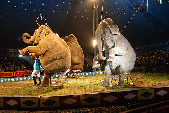 Cole Brothers Circus