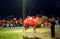 Cole Brothers Circus