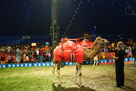 Cole Brothers Circus